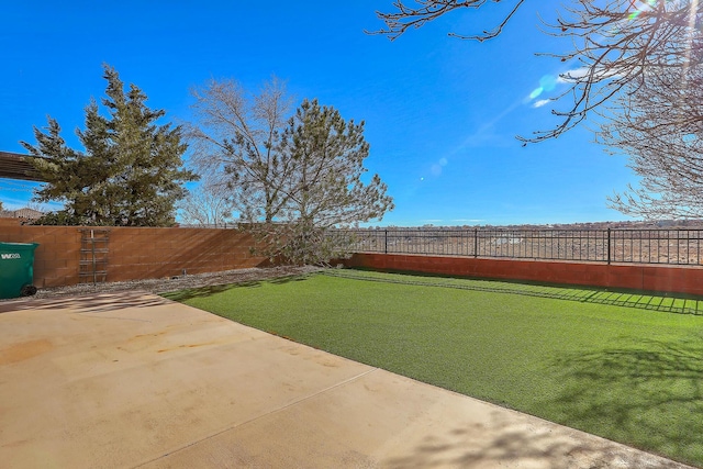 view of yard featuring a fenced backyard and a patio area