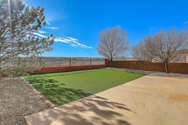 view of yard with a patio area and a fenced backyard