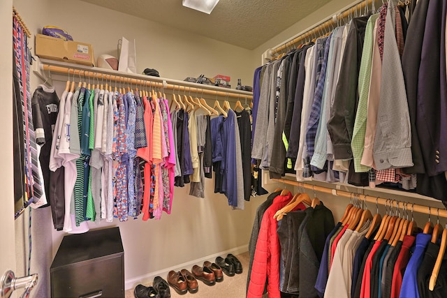 spacious closet with carpet