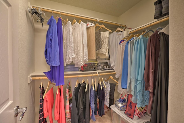 spacious closet featuring carpet