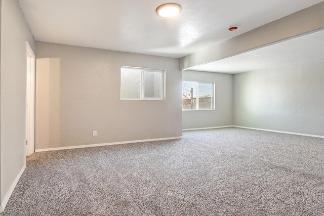 unfurnished room featuring carpet floors