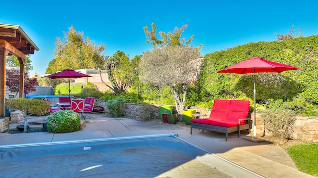 view of pool with a patio