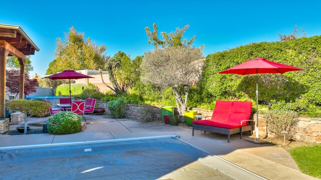 view of pool with a patio area