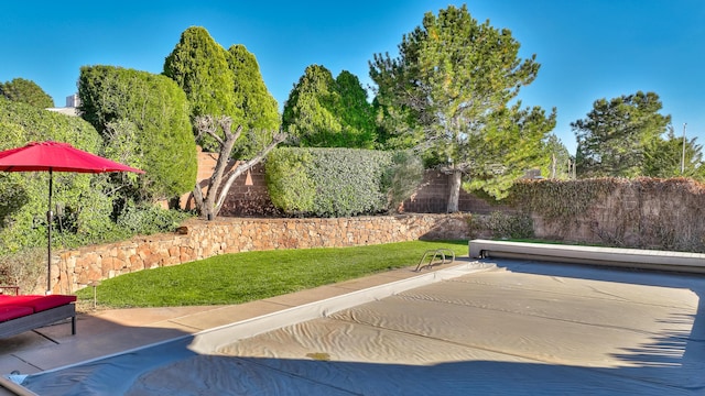 view of swimming pool with a patio area and a yard