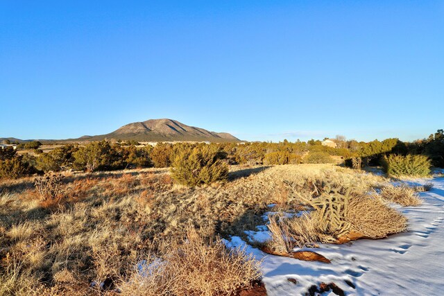 view of mountain feature