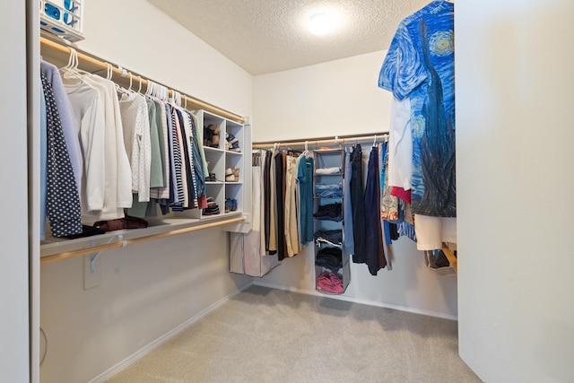 spacious closet with carpet