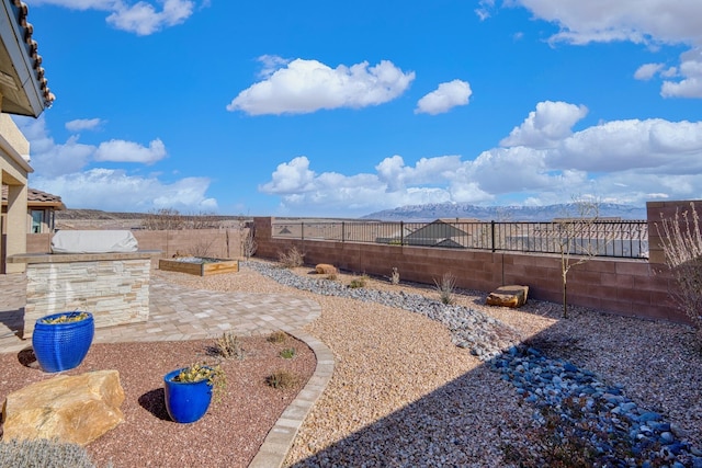 view of yard featuring a patio and a fenced backyard