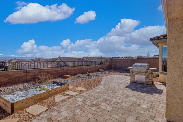 view of patio featuring an outdoor kitchen and grilling area