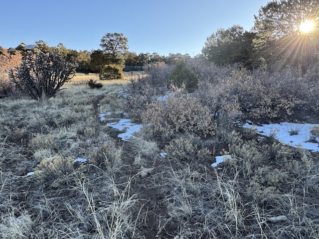 27 Punch Ct, Tijeras, NM 87059 - photo 8