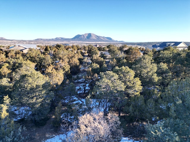 27 Punch Ct, Tijeras, NM 87059 - photo 9