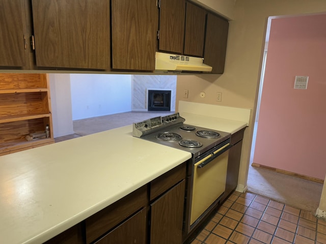 kitchen with electric stove, dark brown cabinetry, and light carpet