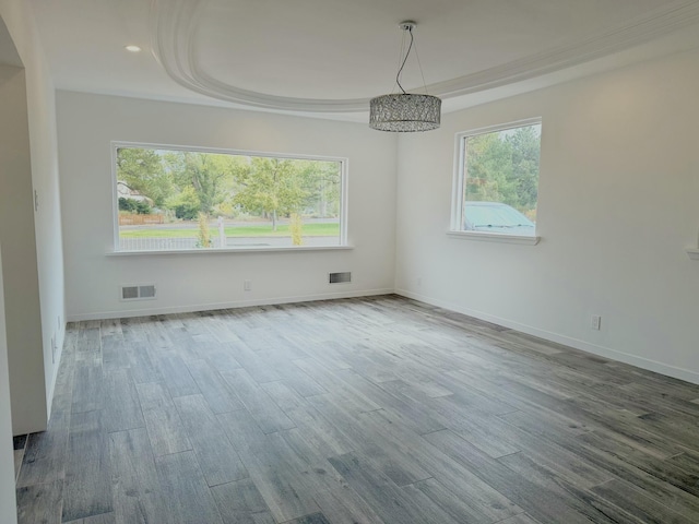 empty room with wood-type flooring