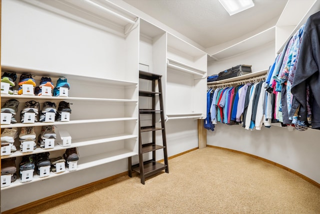 walk in closet featuring carpet flooring