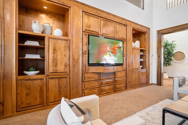 living room with carpet flooring