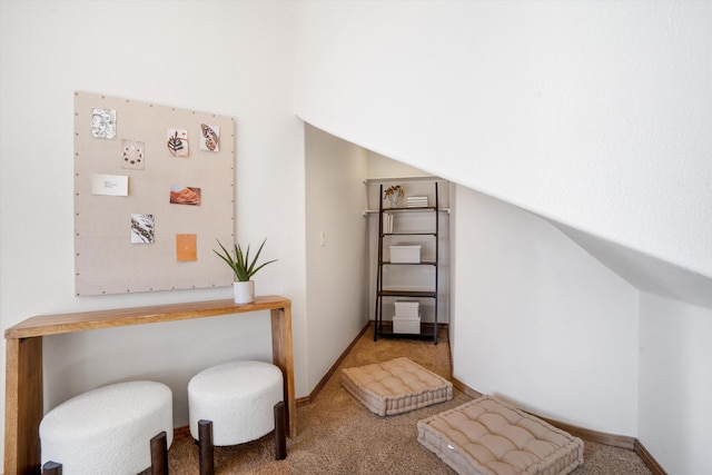 interior space featuring carpet floors and baseboards