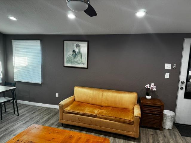 living area with ceiling fan and hardwood / wood-style flooring