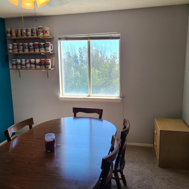 dining area featuring carpet