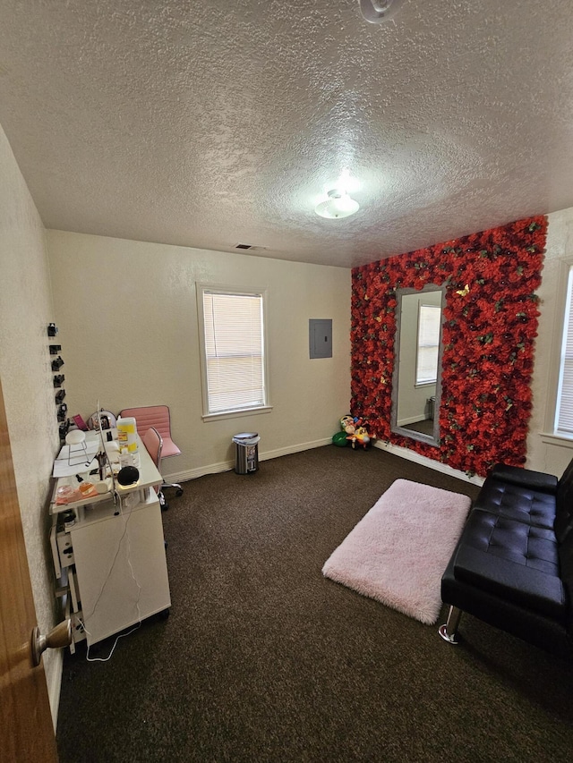 miscellaneous room featuring carpet, electric panel, and a textured ceiling