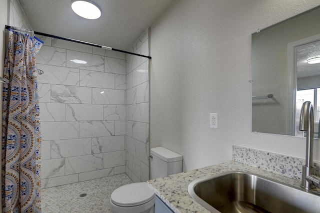 bathroom with toilet, vanity, and a shower with shower curtain