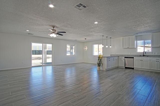 kitchen with plenty of natural light, dishwasher, and white cabinets