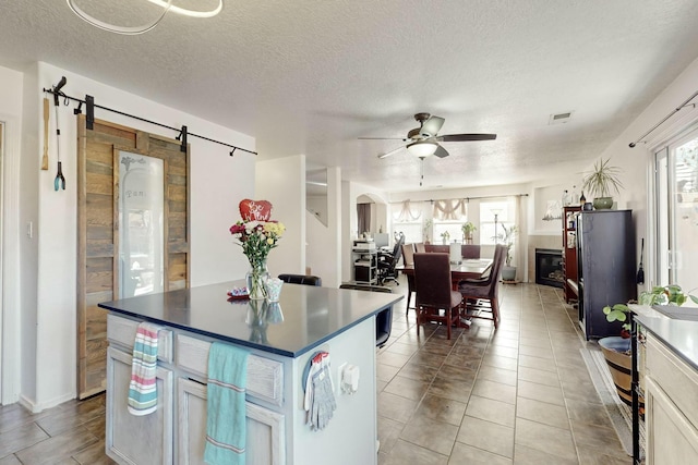 kitchen with ceiling fan, a barn door, a center island, and a wealth of natural light