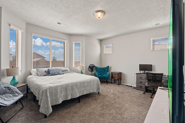 carpeted bedroom featuring multiple windows and a textured ceiling