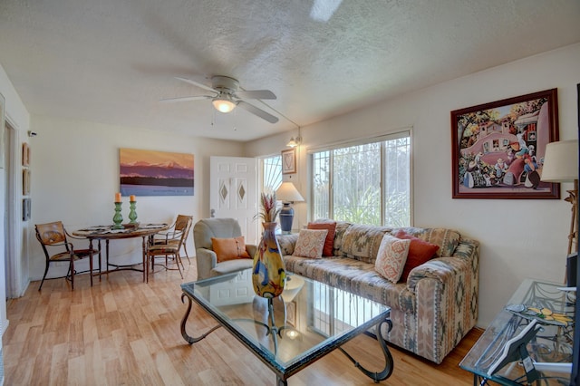 living room featuring ceiling fan, a textured ceiling, and light hardwood / wood-style flooring