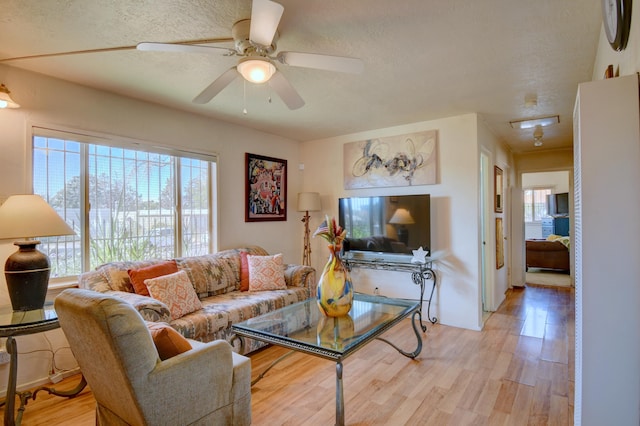 living room with light wood-type flooring, ceiling fan, and a textured ceiling