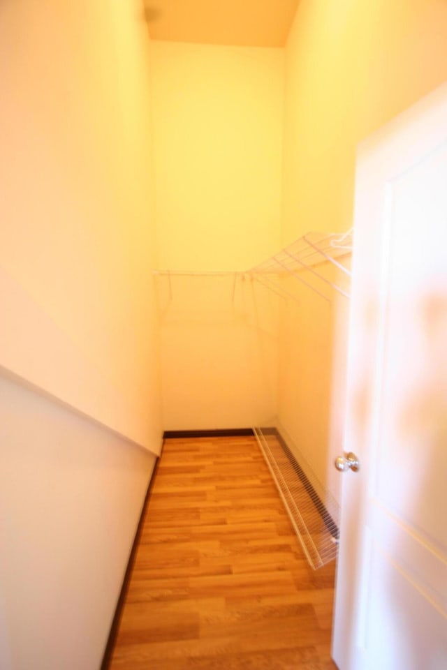 walk in closet with hardwood / wood-style flooring