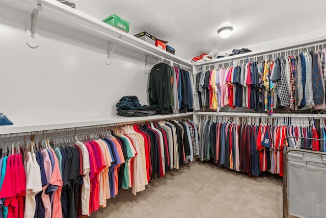 spacious closet featuring carpet floors