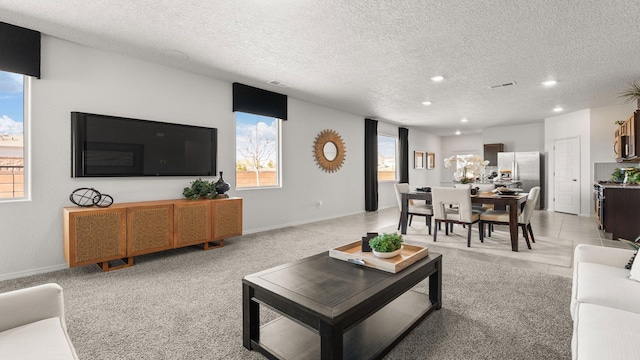 living room featuring a textured ceiling