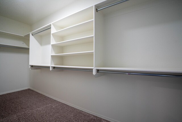 walk in closet featuring carpet