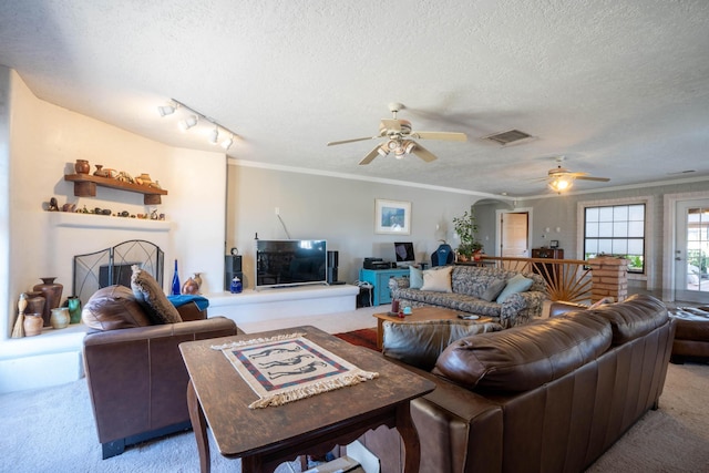 carpeted living room featuring track lighting, ornamental molding, and a textured ceiling