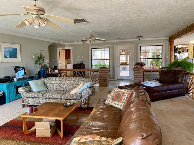 carpeted living room with ornamental molding, a wealth of natural light, ceiling fan, and a textured ceiling