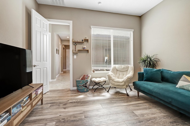 living room featuring wood-type flooring