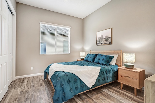 bedroom featuring wood-type flooring and a closet