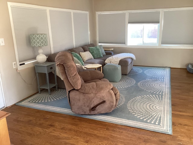 living room with wood-type flooring