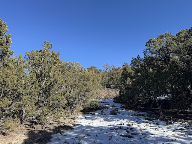 58 Bolivar, Tijeras, NM 87059 - photo 9
