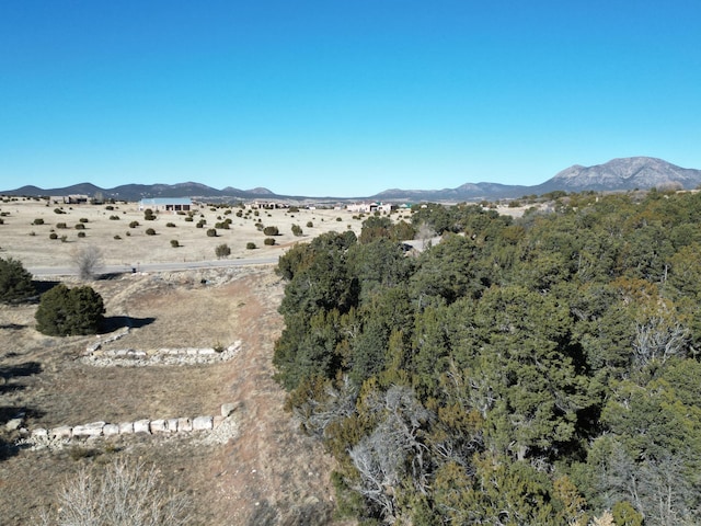 58 Bolivar, Tijeras, NM 87059 - photo 6