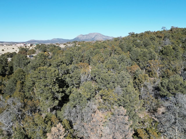 58 Bolivar, Tijeras, NM 87059 - photo 3