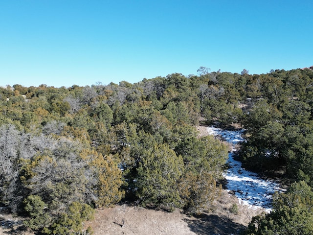 58 Bolivar, Tijeras, NM 87059 - photo 17