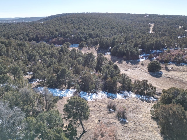 58 Bolivar, Tijeras, NM 87059 - photo 15