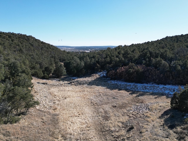 58 Bolivar, Tijeras, NM 87059 - photo 14