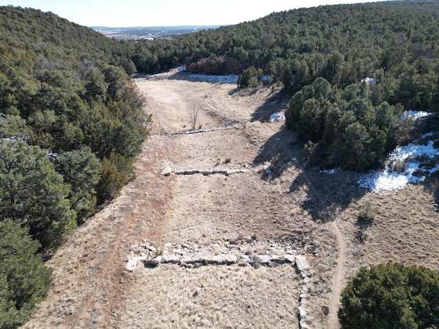 58 Bolivar, Tijeras, NM 87059 - photo 13