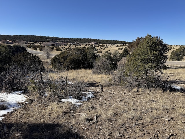 58 Bolivar, Tijeras, NM 87059 - photo 11