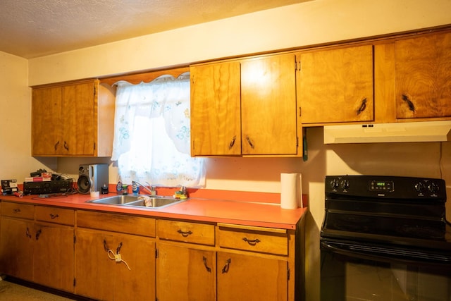 kitchen featuring black / electric stove, sink, and a textured ceiling