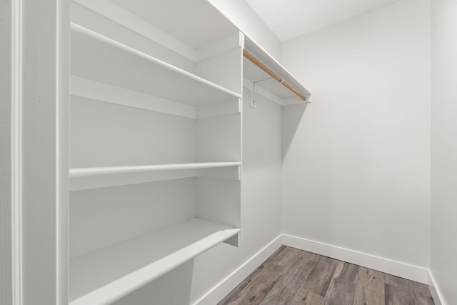 walk in closet with wood-type flooring