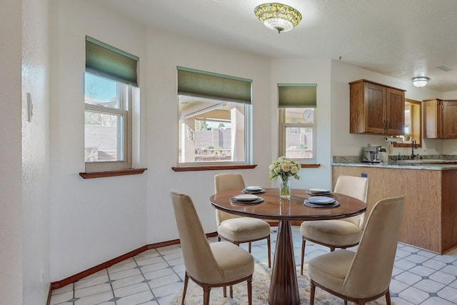 dining area featuring sink