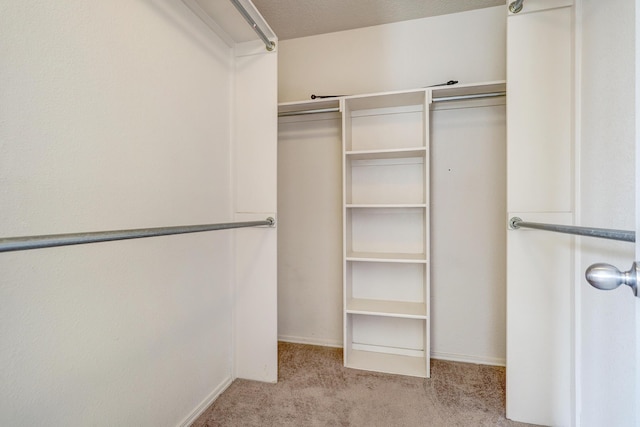 walk in closet with light colored carpet