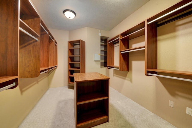 spacious closet with light carpet